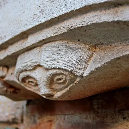 Oda ve Kahvaltı Maison D'hotes Du Pigne Albi